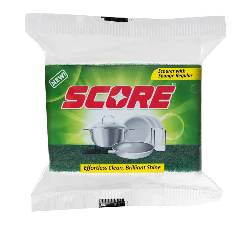 Score Scouring Sponge Regular